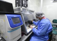 Piauí é o terceiro estado do nordeste com menor taxa de letalidade da Covid-19