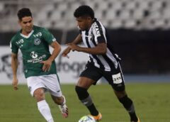 Goiás tenta vencer Botafogo para continuar na luta por permanência