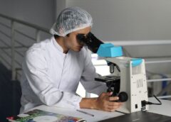 Pesquisa desenvolve tratamento para preservar rim em caso de câncer