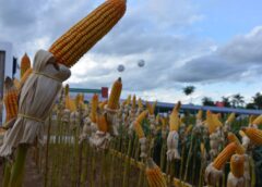 Programa Crédito Rural financia agropecuária com R$ 1,7 bilhão em 2020