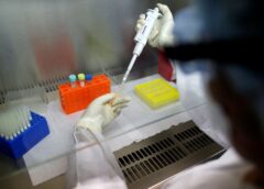 UFMG desenvolve vacina contra a covid-19