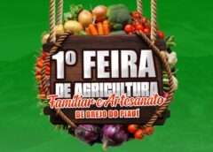 BREJO DO PIAUÍ – PI: ASSOCIAÇÃO COMPOSTA POR 50 MULHERES TRABALHADORAS RURAIS REALIZA NESTE DIA 11 DE ABRIL A 1ª FEIRA DA AGRICULTURA FAMILIAR E ARTESANATO.